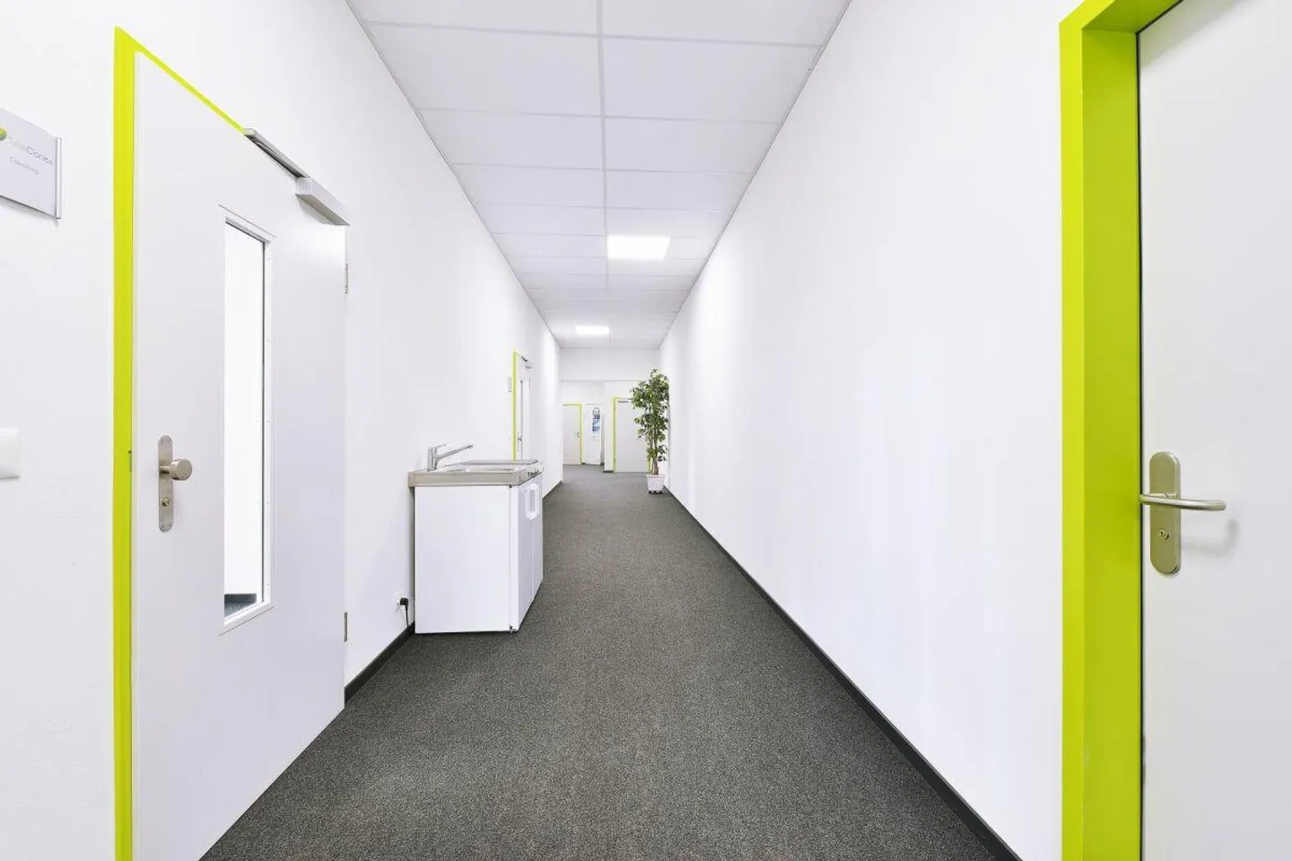 Private, Quiet Office with Co-Working Space Character - Photo 6 of 7