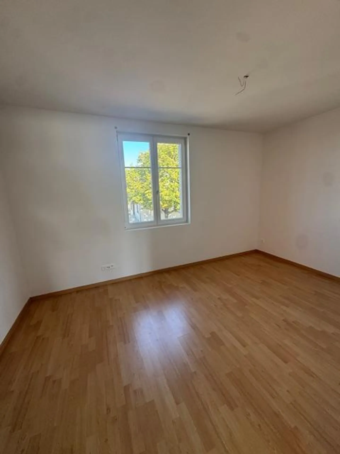 Bright and freshly renovated 4.5-room apartment - ready for your new home - Photo 2 of 6