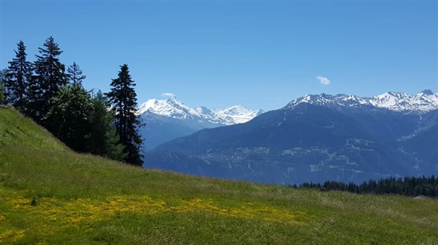 Erstklassiges Grundstück in Crans-Montana - Foto 5 von 15