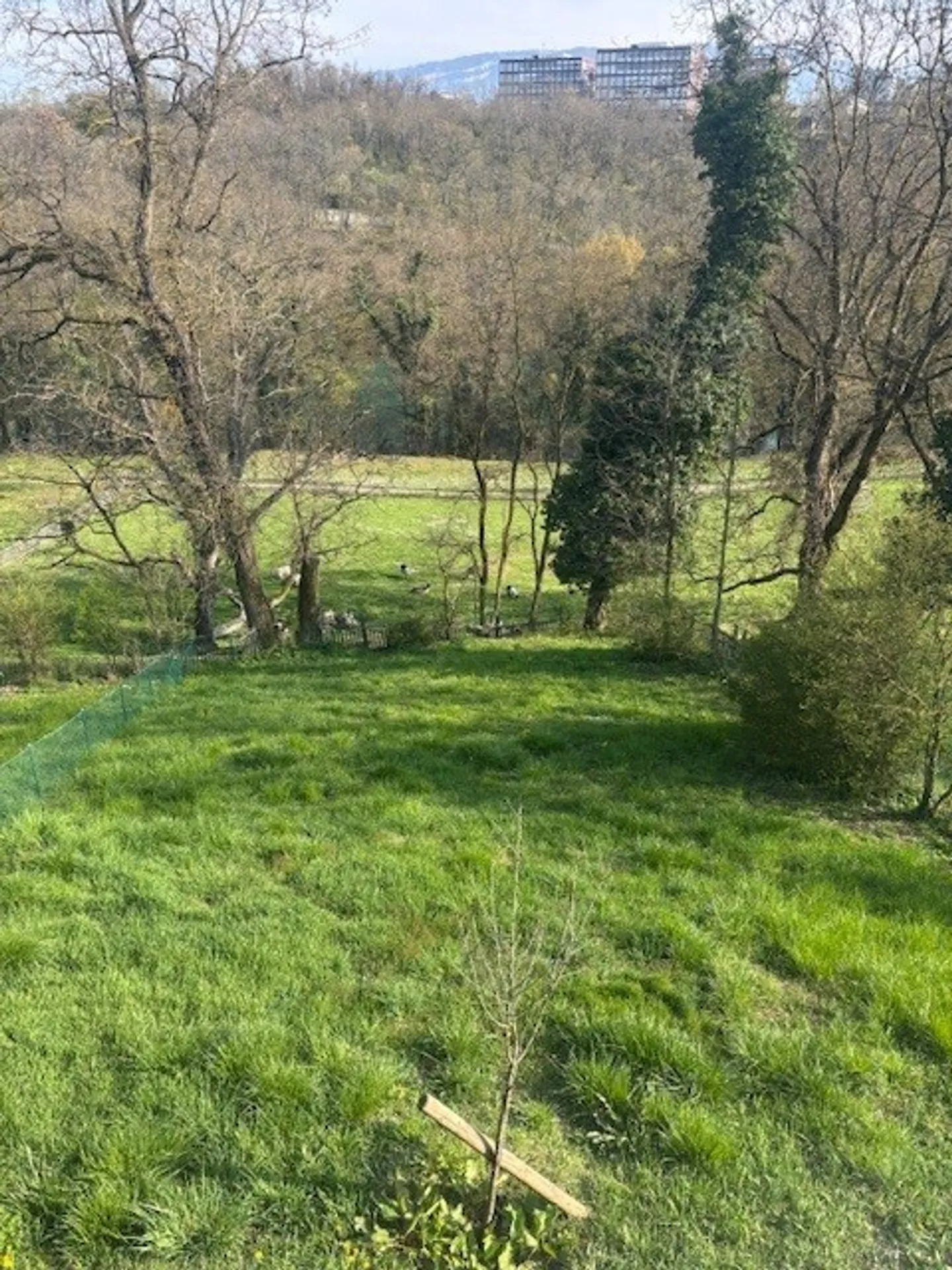 Bella villa adiacente ad Aïre - Foto 6 di 6