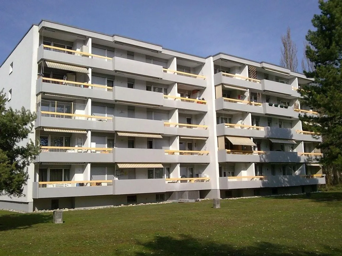 Luminoso appartamento immerso nel verde - Foto 7 di 7