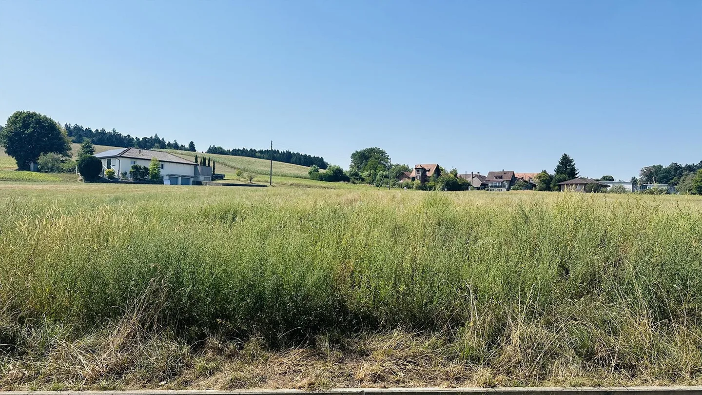 Incantevole appartamento con 3 camere al piano terra a Berna-Oberbottigen - Foto 11 di 11