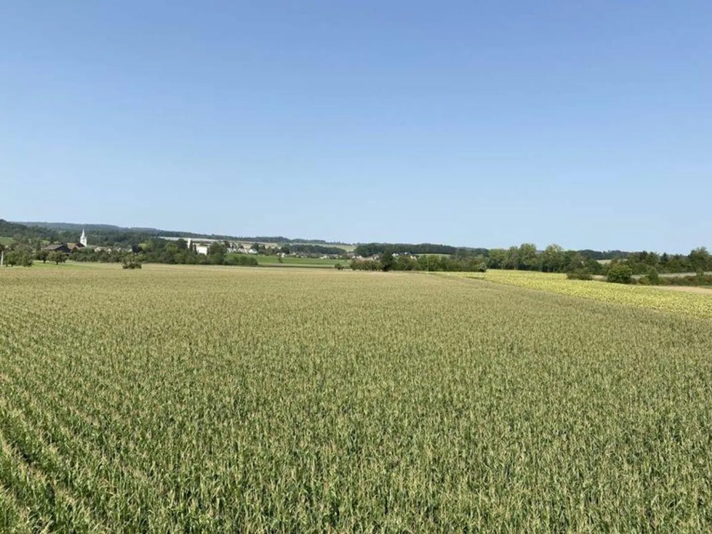 Realizza il tuo sogno - Acquistare una casa a Müllheim TG (Casa A) - Foto 13 di 18