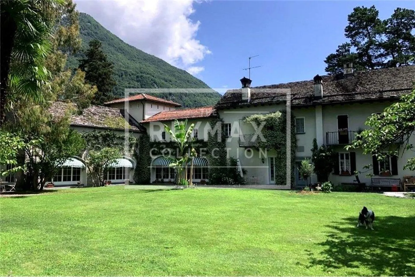 Villa con 15 stanze - Foto 1 di 7