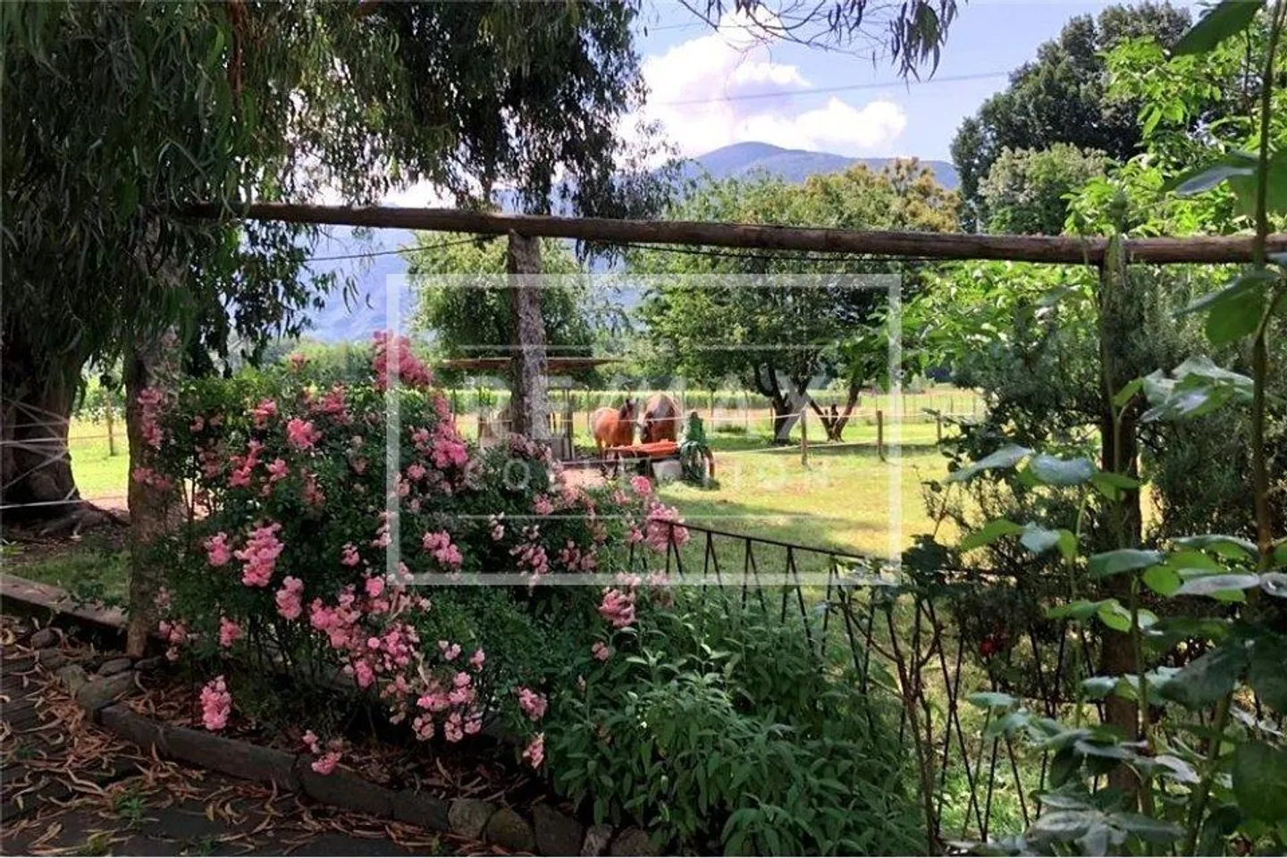 Villa con 15 stanze - Foto 7 di 7