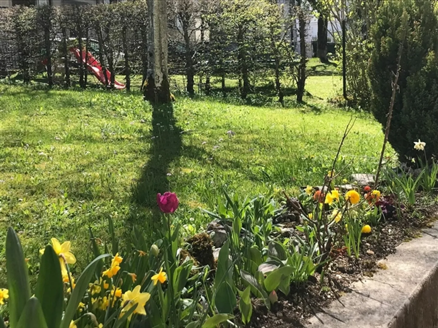 «Renovierte 3-Zimmer-Wohnung mit Terrasse» - Foto 13 von 13