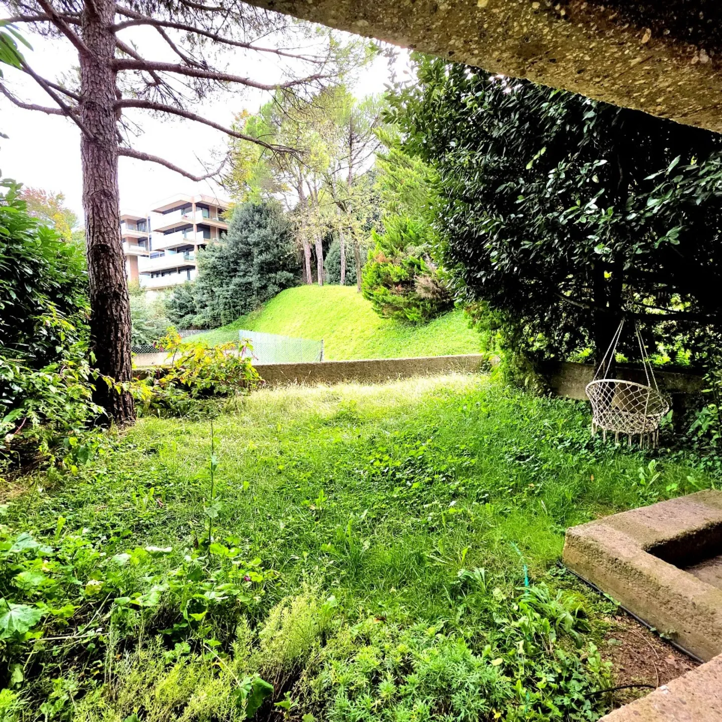 Affittasi al Lidorama Park - Paradiso 2.5 locali con giardino - Foto 3 di 8