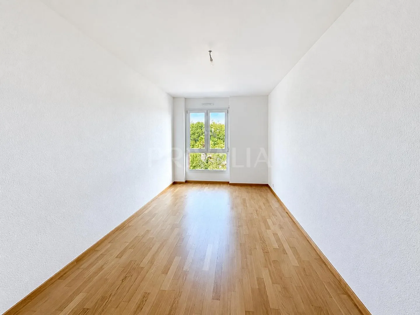 In esclusiva: Appartamento di 4 locali completamente ristrutturato a Onex - Foto 4 di 6