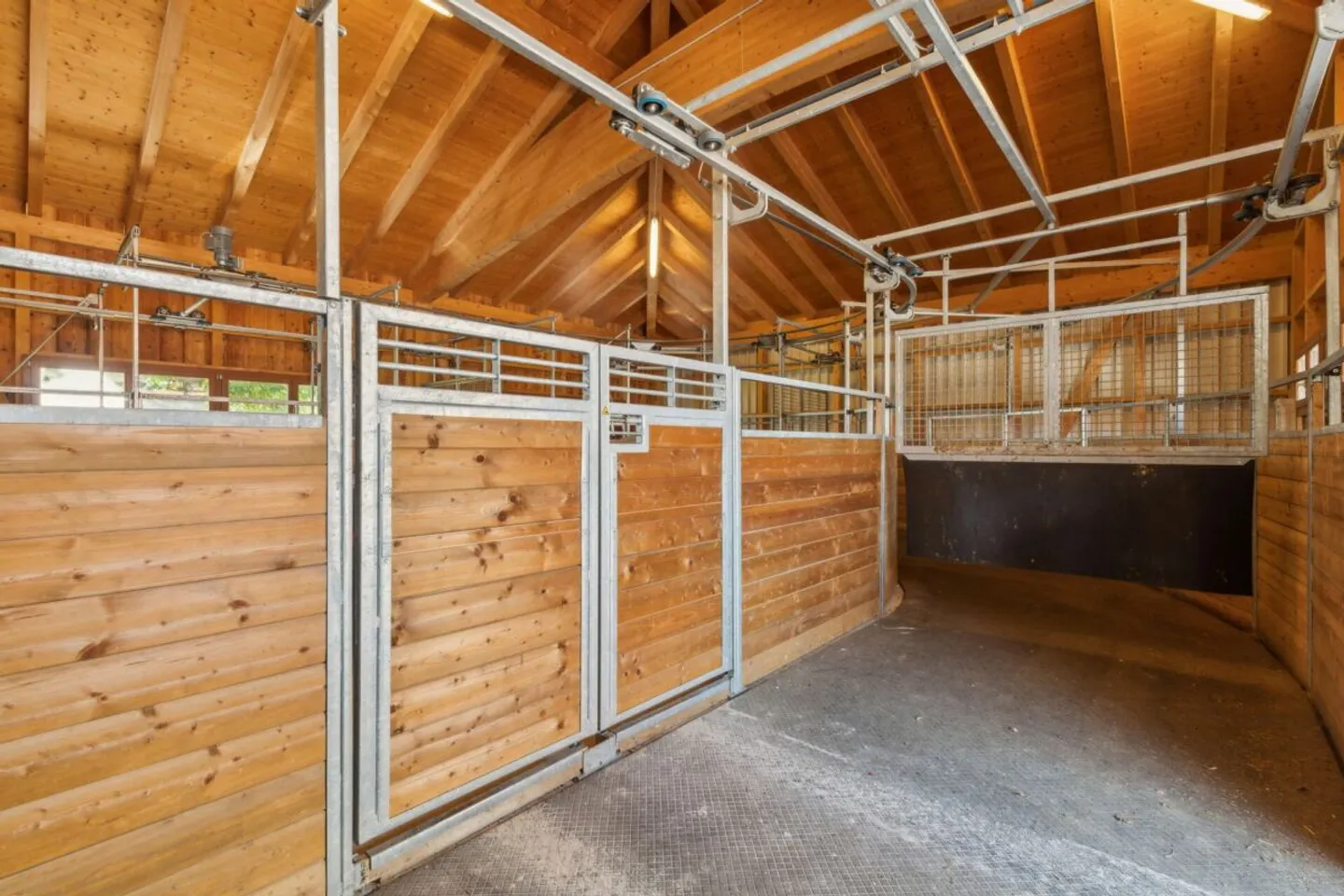 REITSPORTIMMOBILIE MIT 4 WOHNEINHEITEN, SANDPLATZ UND OVAL-FÜHRANLAGE - Foto 7 von 15