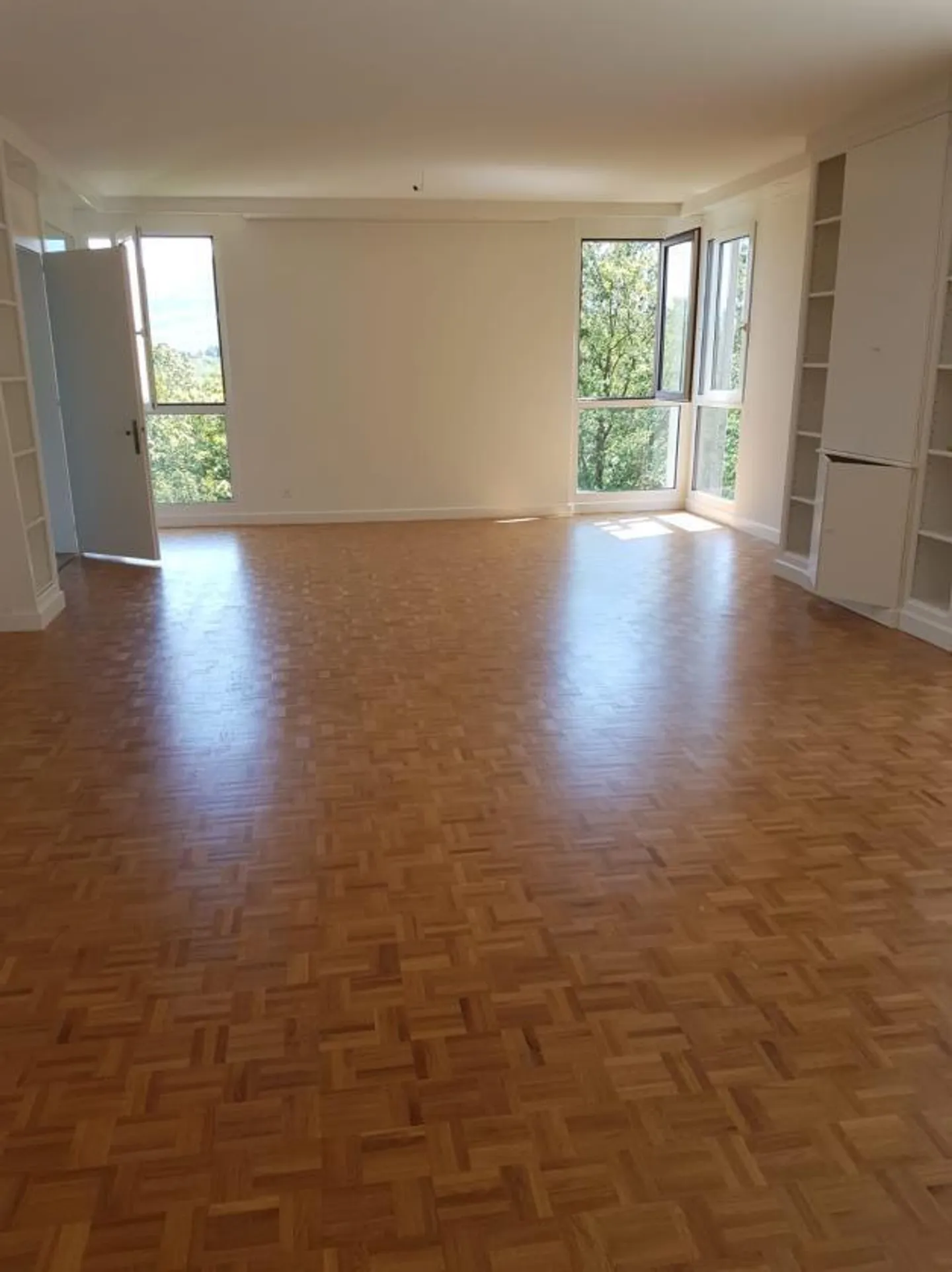 Grand et magnifique appartement de 7,5 pièces dans un endroit calme avec terrasse à Champel - Photo 2 sur 13