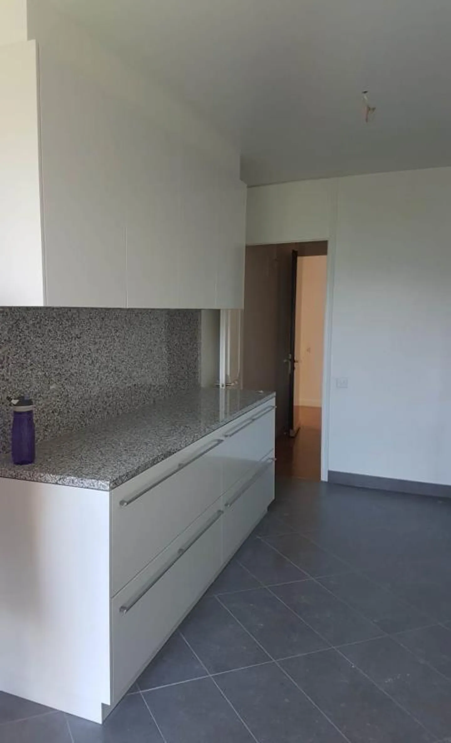 Grand et magnifique appartement de 7,5 pièces dans un endroit calme avec terrasse à Champel - Photo 6 sur 13