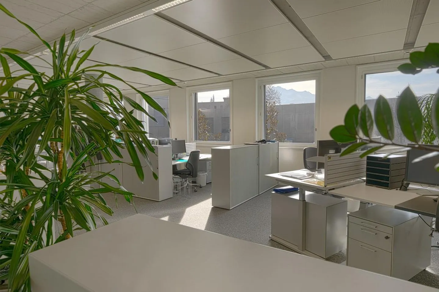 Helle Büroräumlichkeiten - Foto 6 von 10