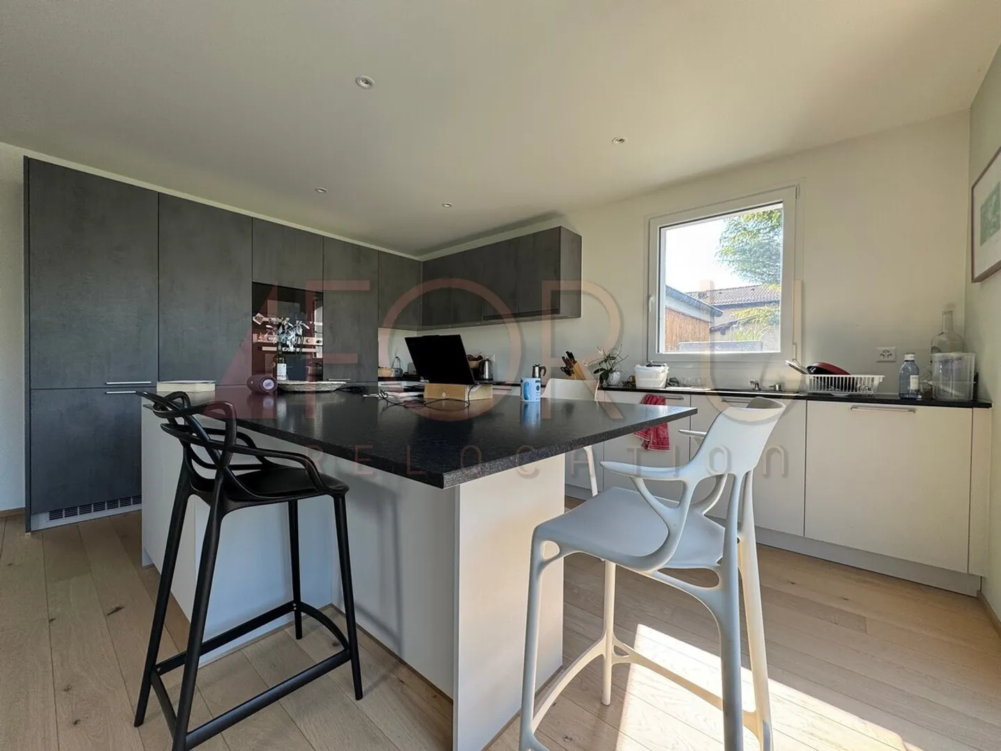 Sehr schöne moderne Villa voll möbliert in Collex - Foto 4 von 11
