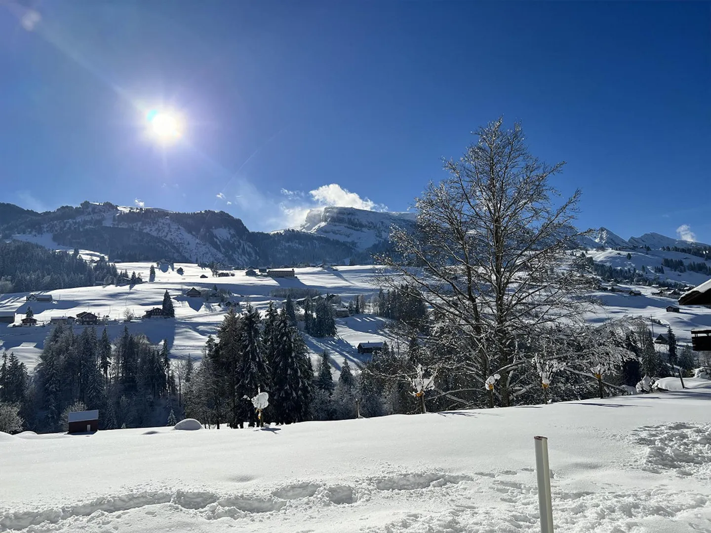 Appartamento giardino Wildhaus UG - Foto 9 di 10