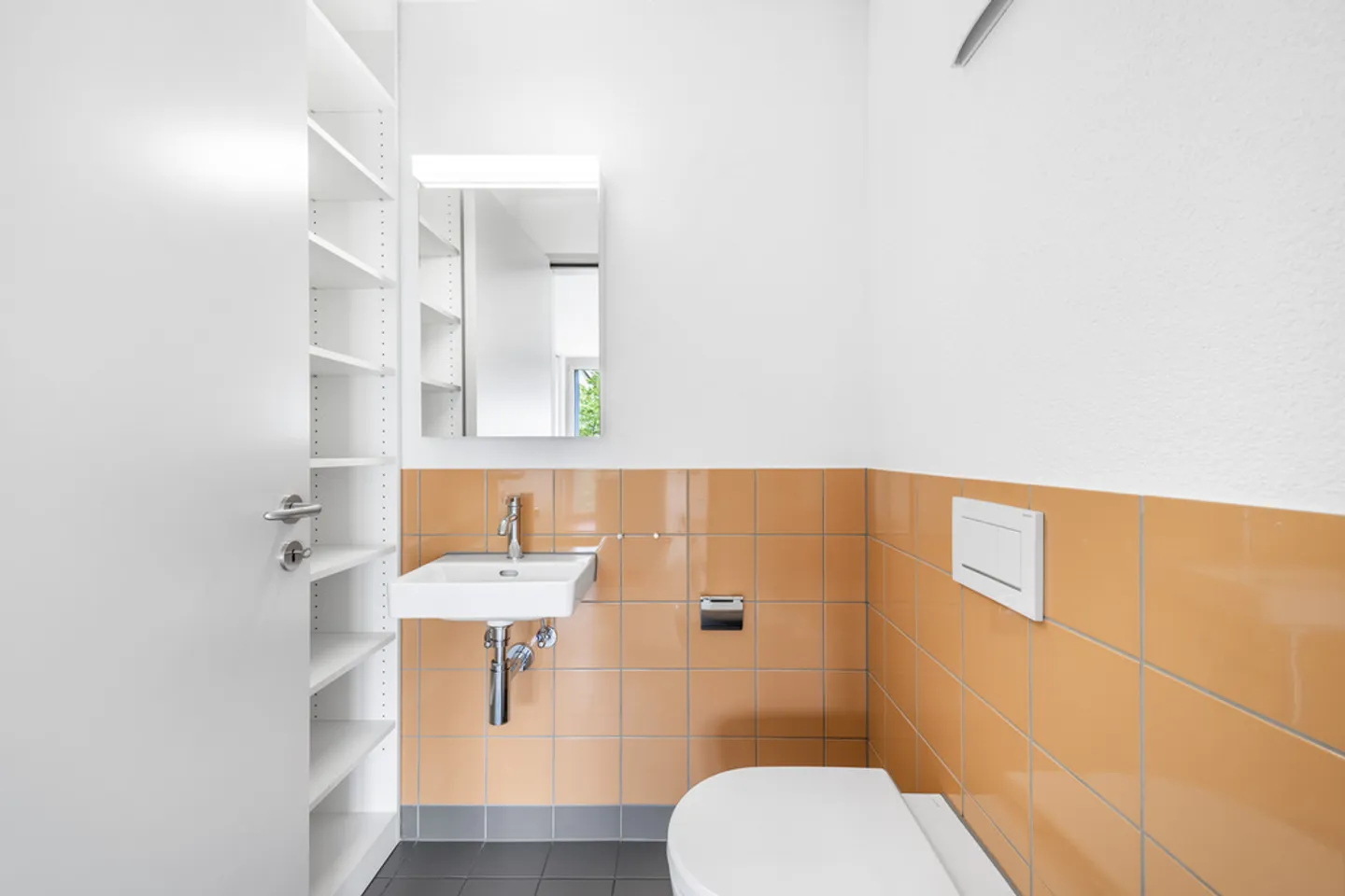 Modern New Apartment in Thalwil - Photo 7 of 10
