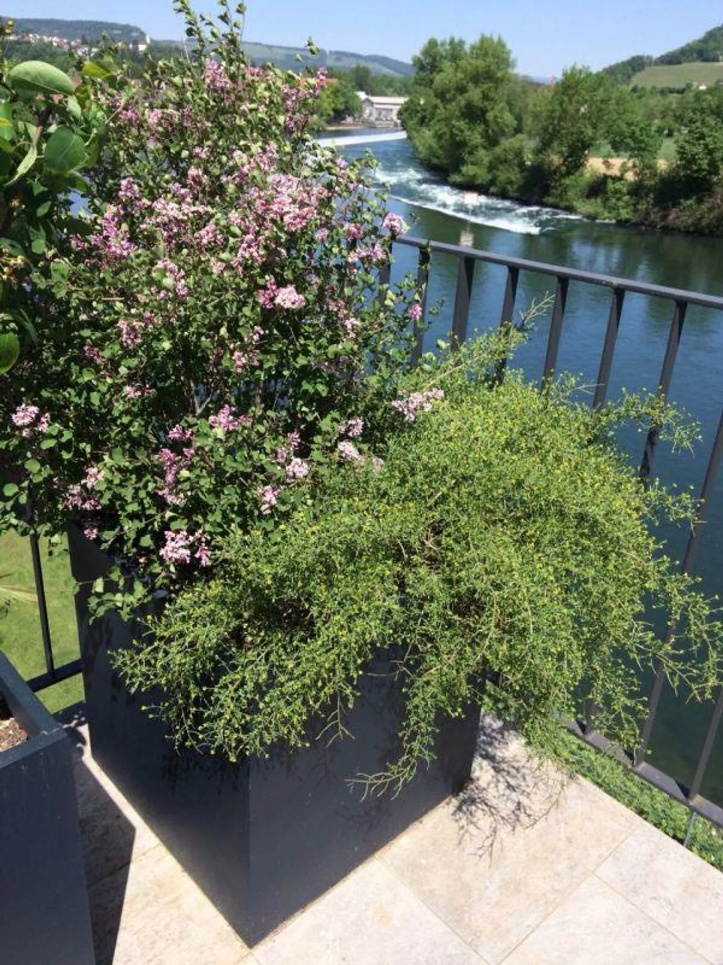 Casa Fluviale AQUAMARINA Vogelsang (Comune di Gebenstorf) - Foto 3 di 23