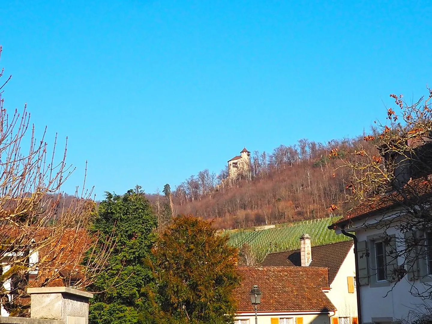 ARLESHEIM - VILLA DE PREMIÈRE CLASSE - Photo 4 sur 4