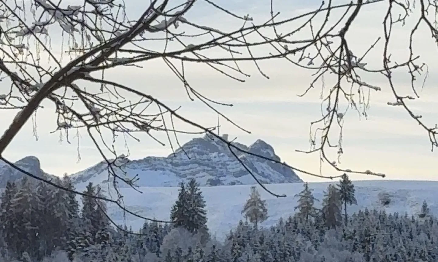 Looking for a new tenant 3.5-room apartment - Photo 8 of 8