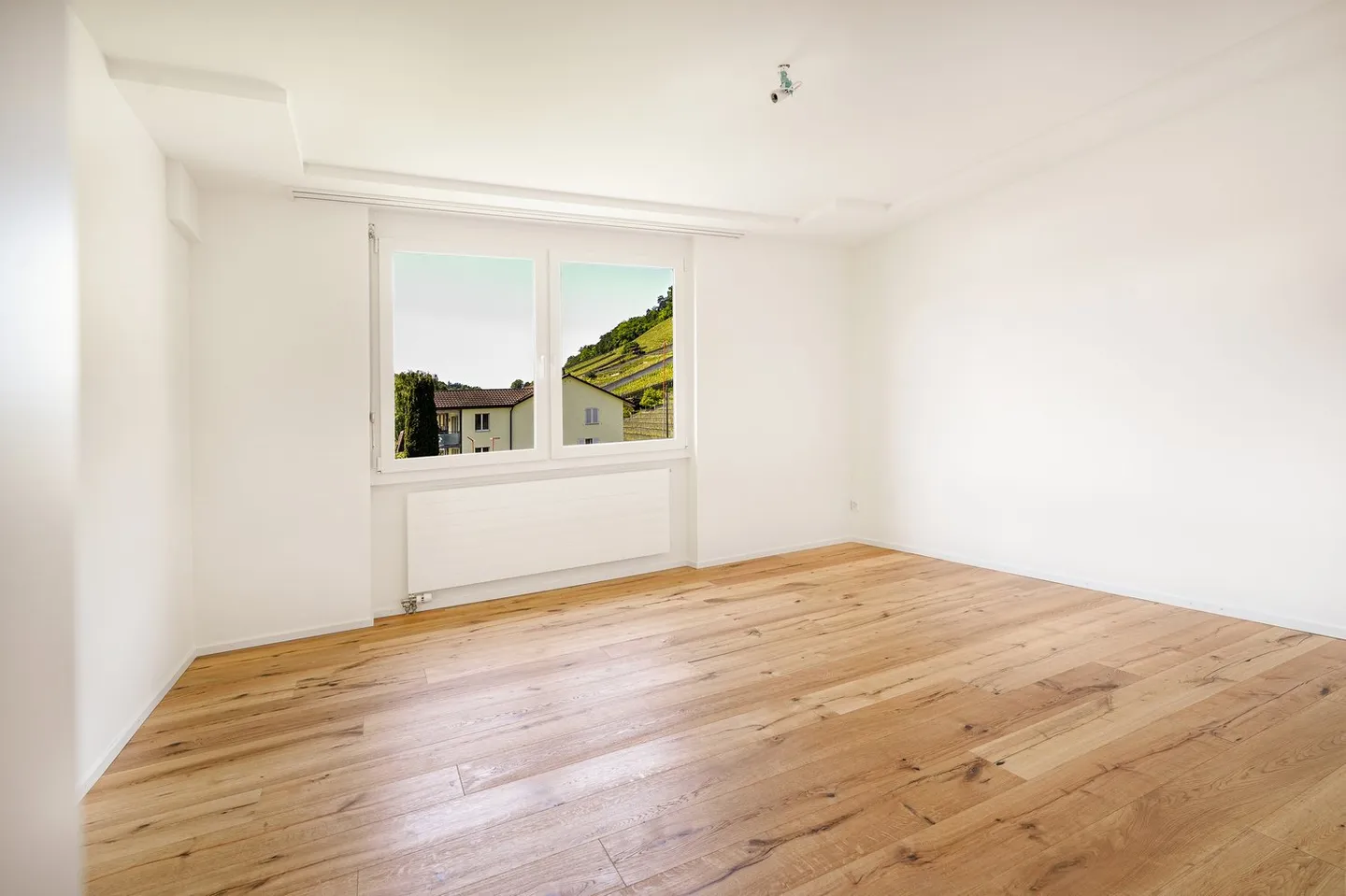 Renovated Apartment with Vineyard View - Photo 9 of 15