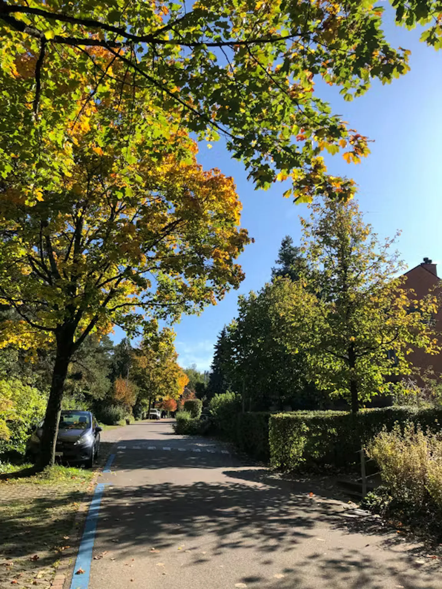 Wohnung mieten - Foto 9 von 10