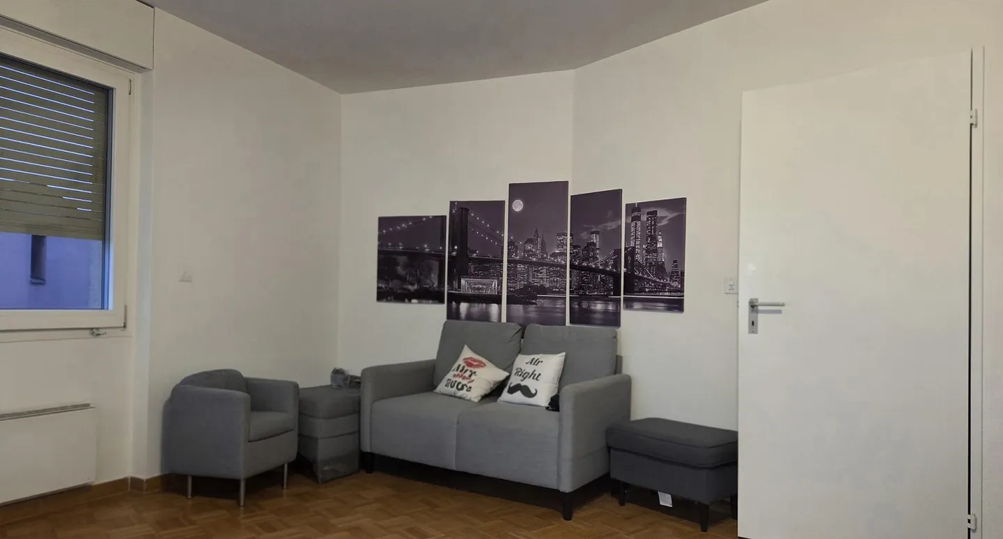 1-room apartment in Basel - Photo 3 of 11