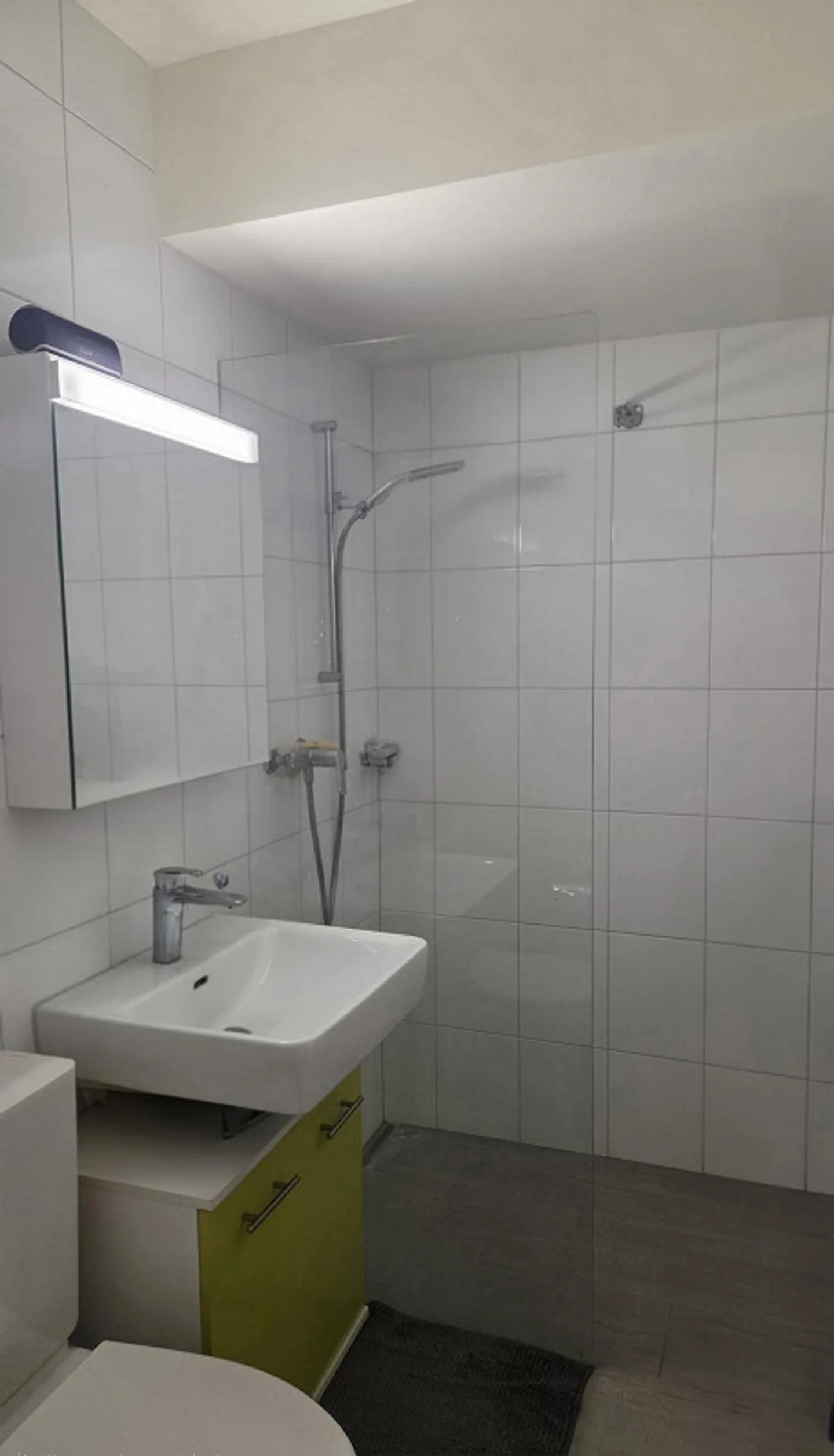 1-room apartment in Basel - Photo 4 of 11