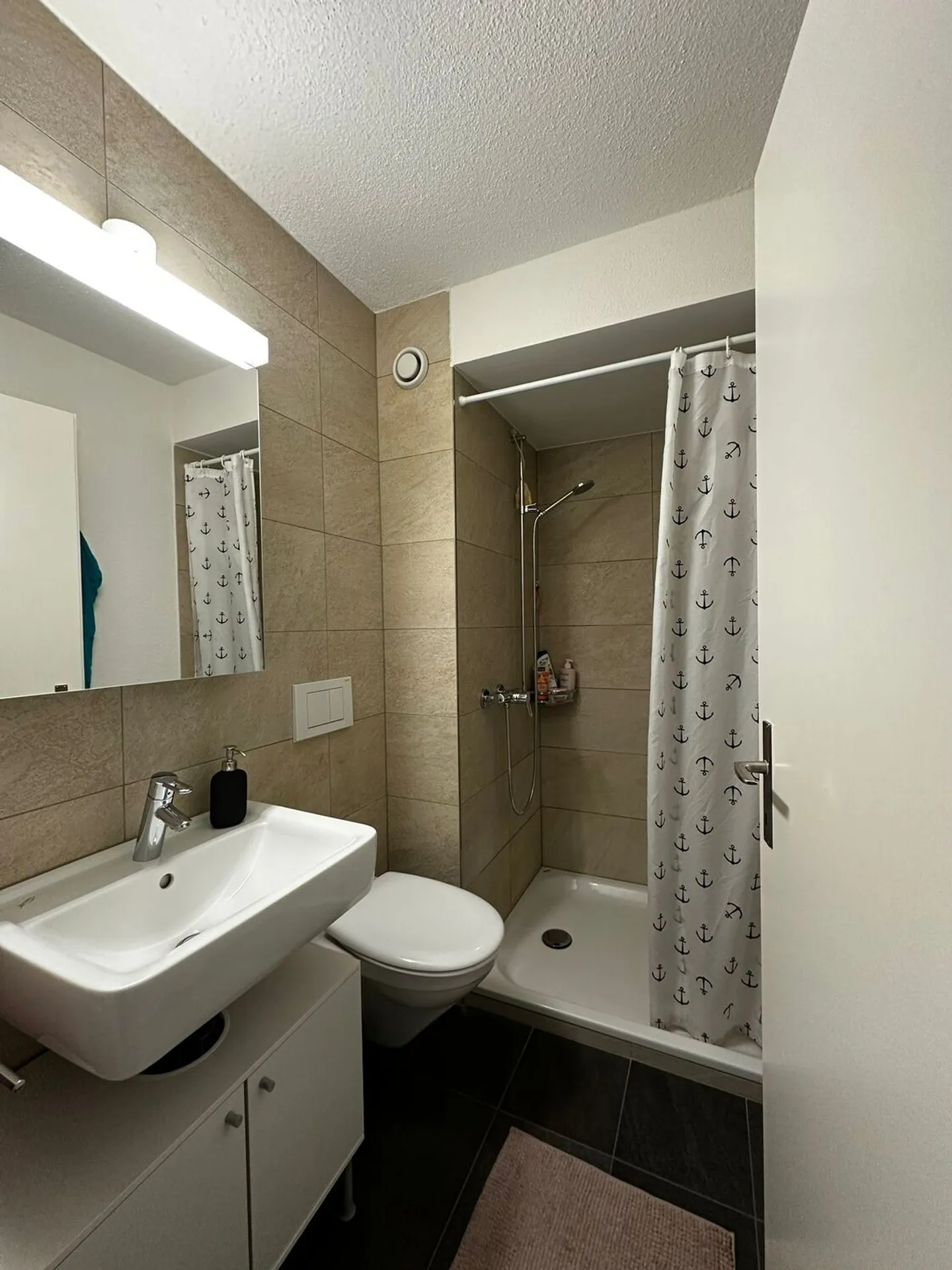 APPARTEMENT 4½ PIÈCES À STÄFA (ZH), MEUBLÉ, TEMPORAIRE - Photo 7 sur 10