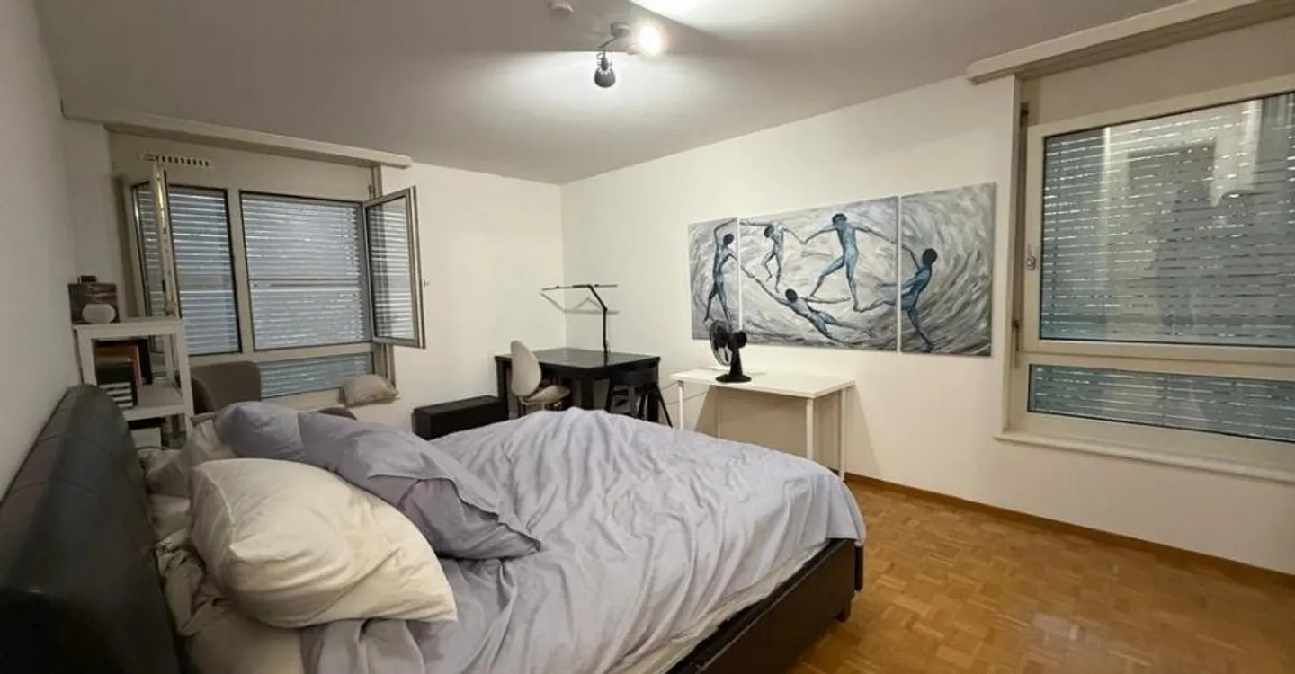 Bellissimo appartamento con terrazza e balcone nel cuore di Petit-Lancy - Foto 6 di 8