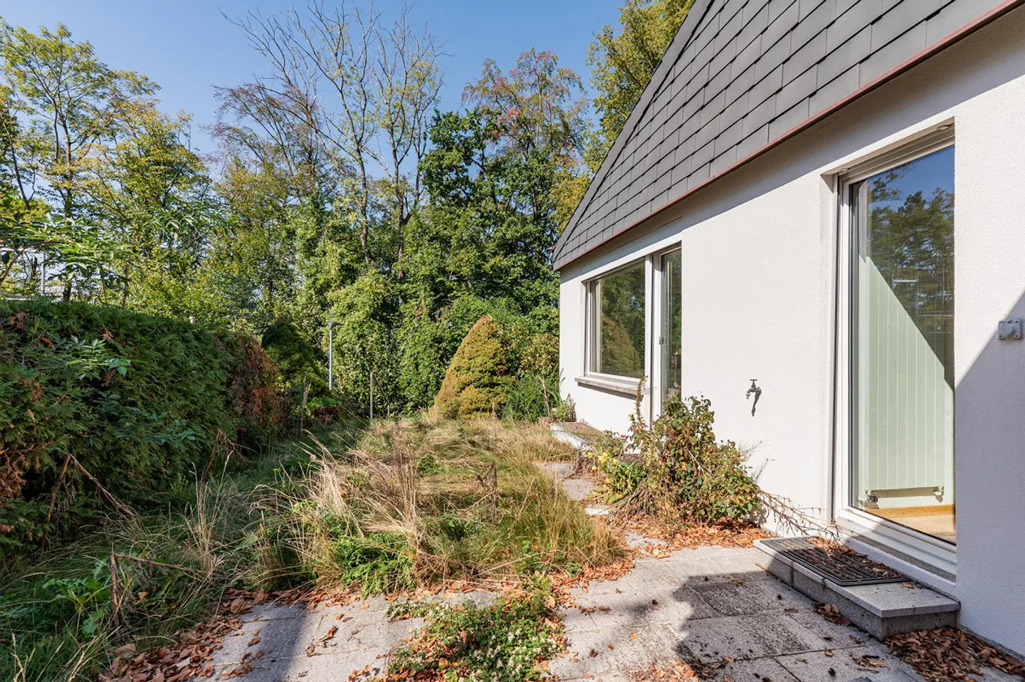 Living with Forest View and Potential - Photo 11 of 13