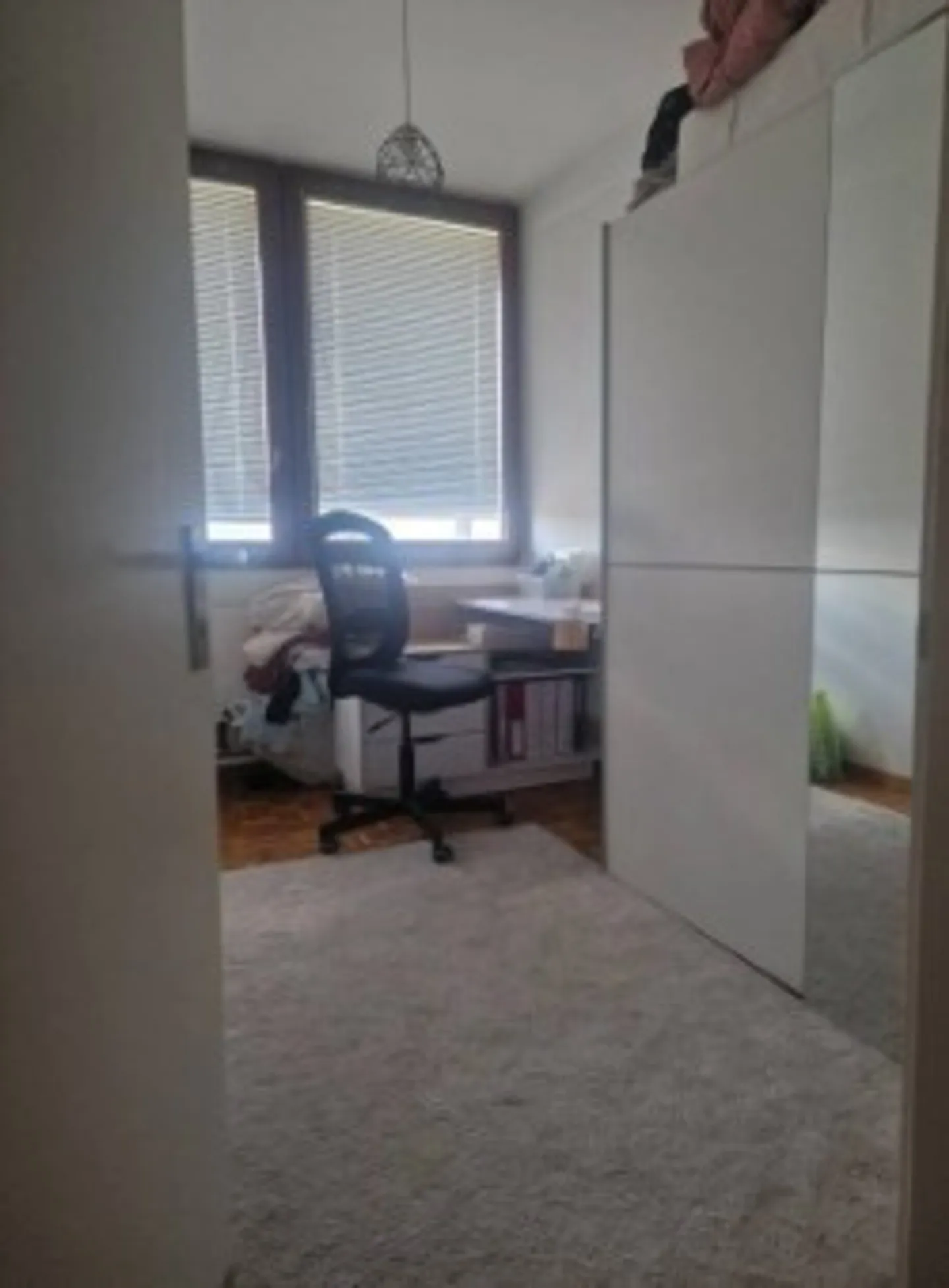 6-Zimmer-Wohnung im Lignon - Foto 7 von 10