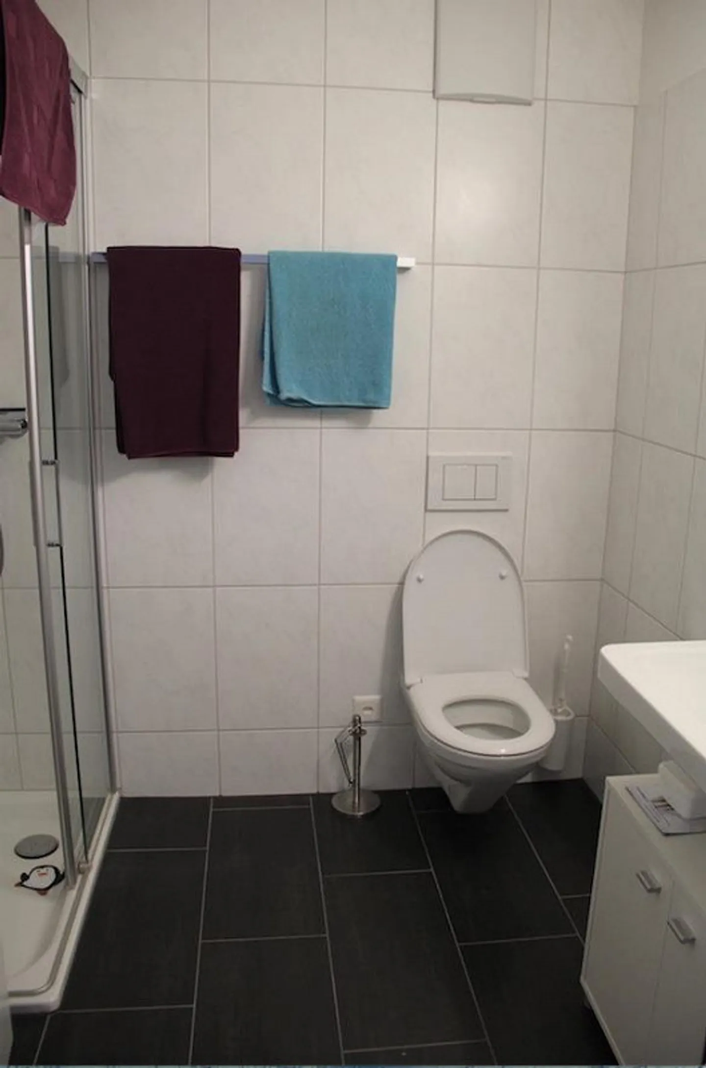 Geräumige 4.5 Zimmer Wohnung - Foto 9 von 9