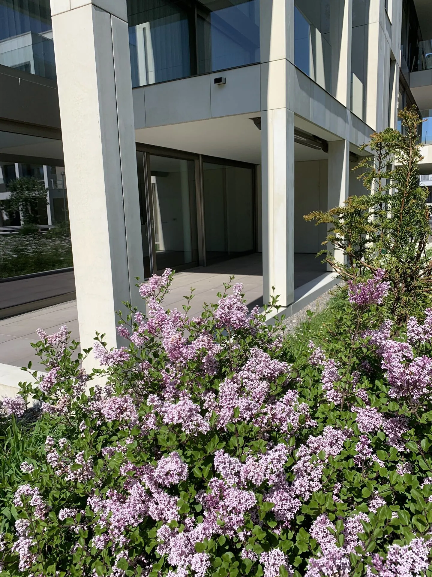 Appartement exclusif de 3,5 pièces au rez-de-chaussée, à proximité immédiate de la vieille ville ! - Photo 14 sur 14