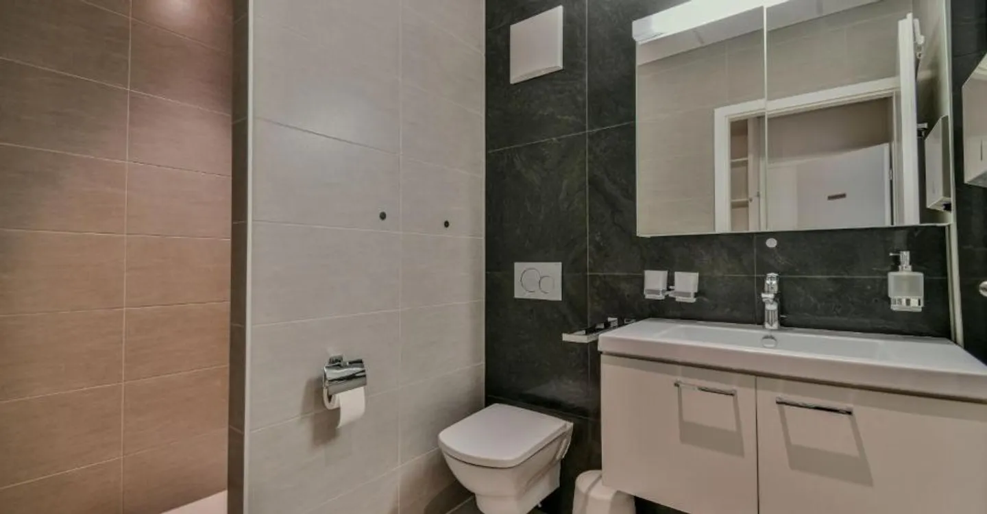 Commercial Space in Monthey - Photo 9 of 12