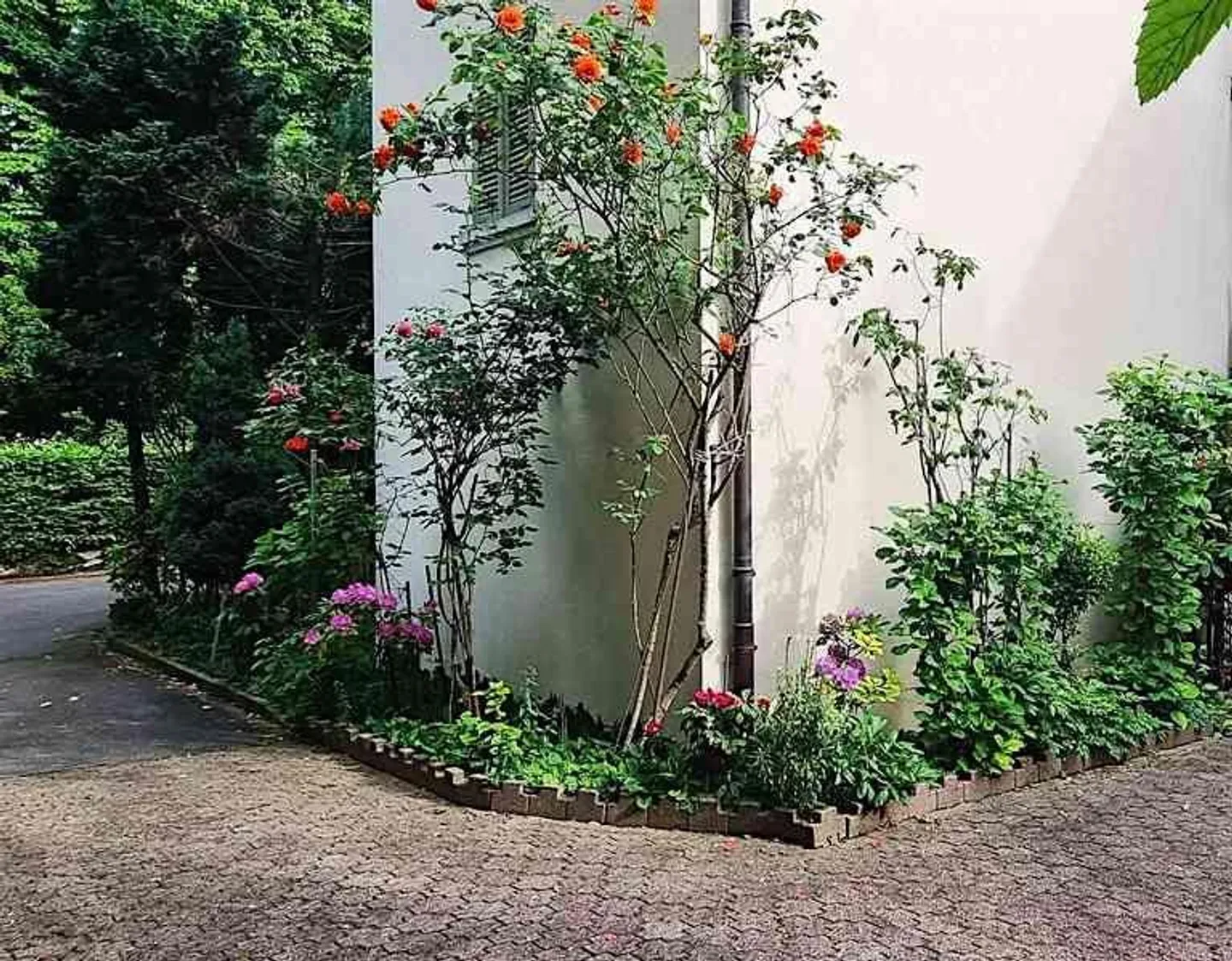 Bright and spacious 5½-room apartment with plenty of space - Photo 5 of 5