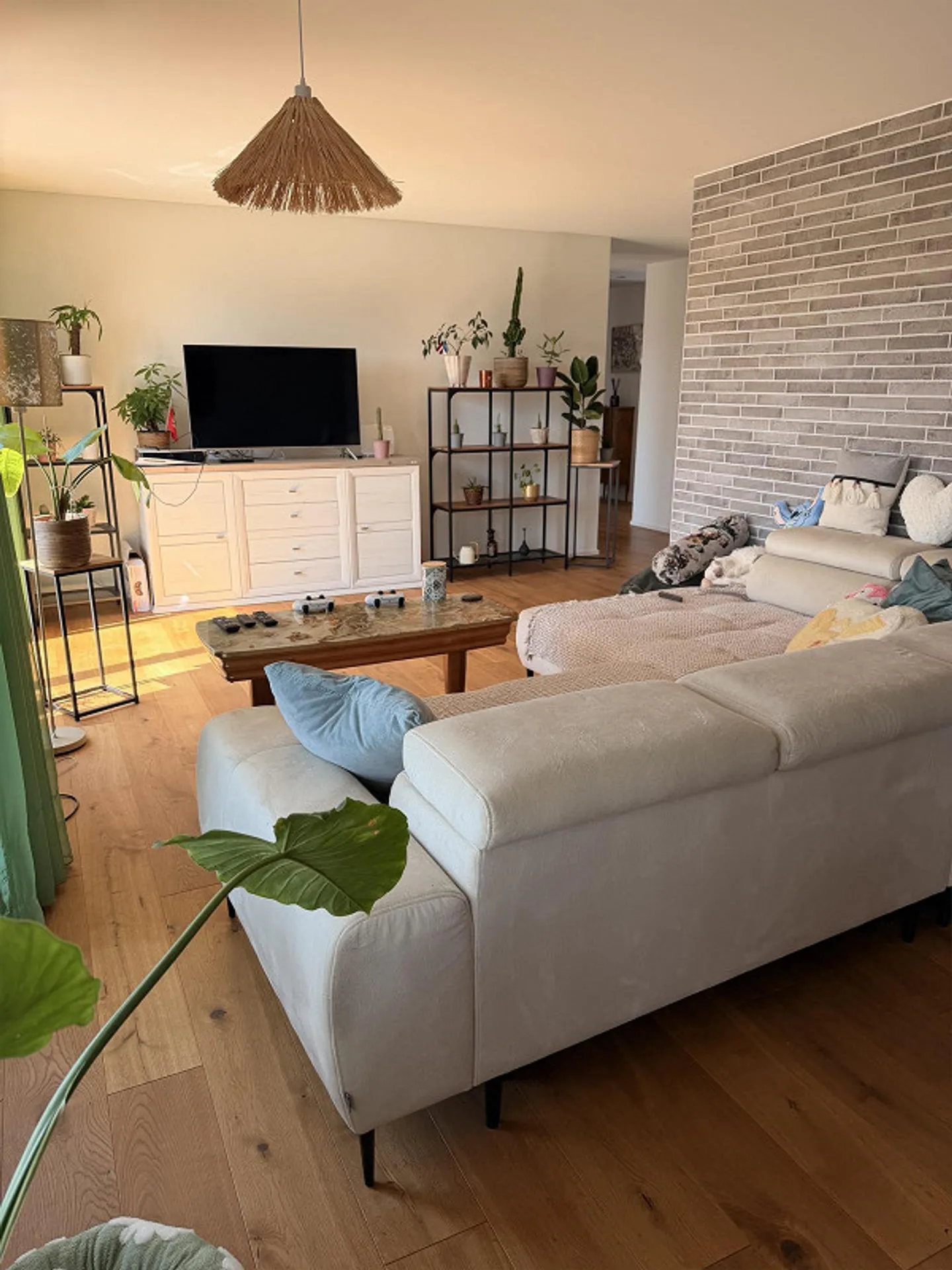 Moderne 3.5 Zimmer Neubau Wohnung in Nebikon - Photo 1 sur 10