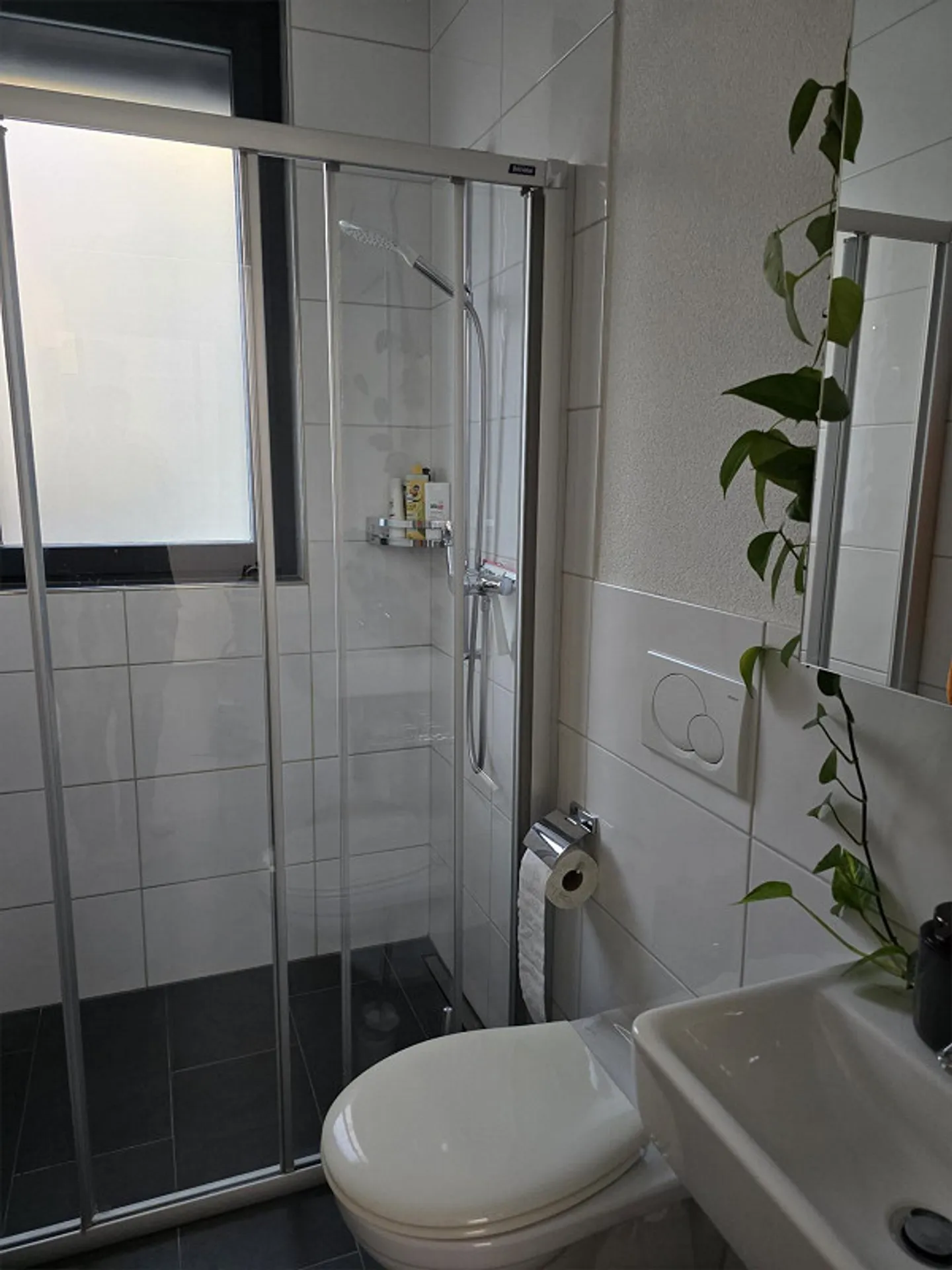 Appartamento di 3,5 locali come nuovo direttamente sopra il vigneto - Foto 11 di 12