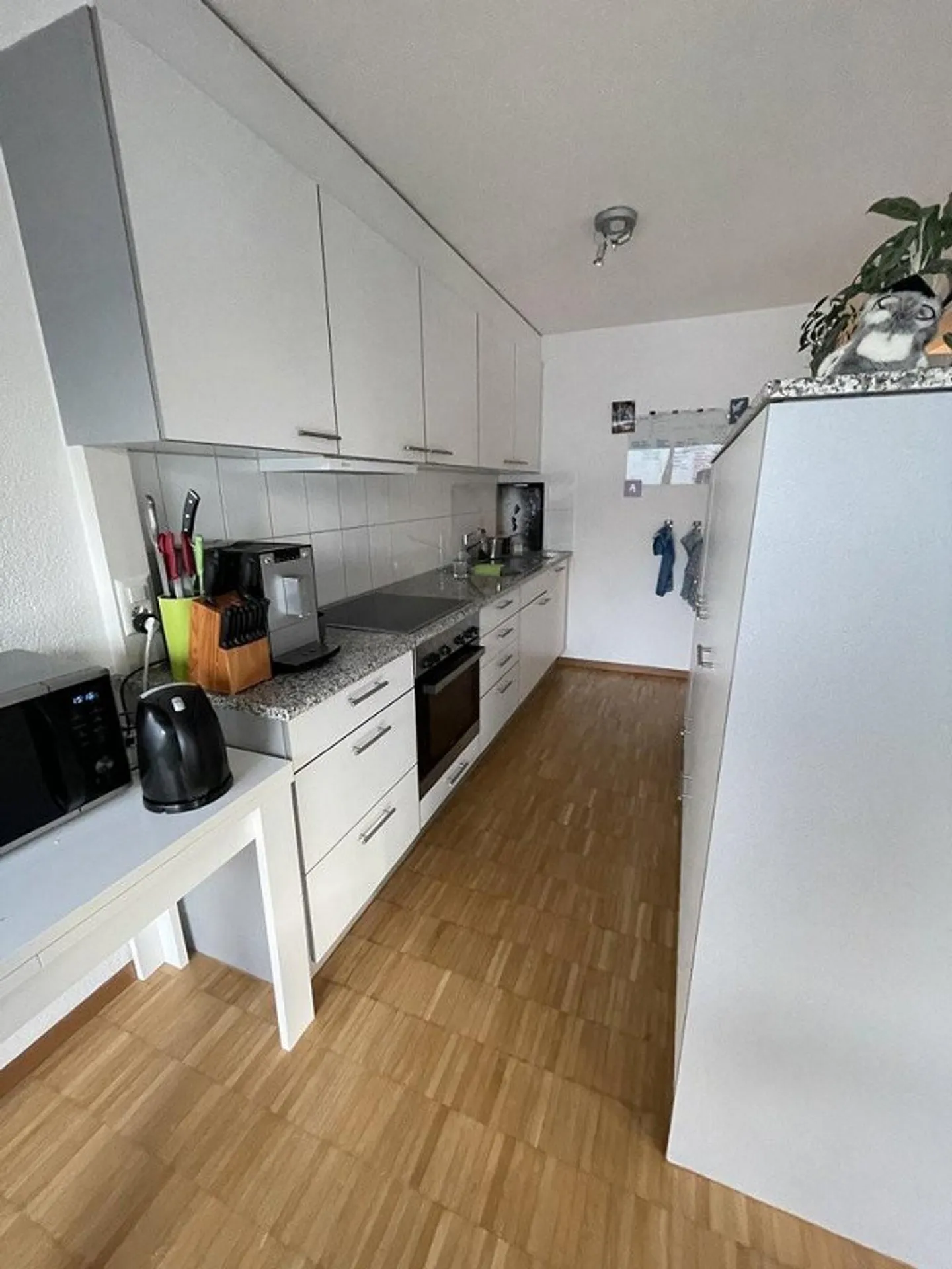 Cozy apartment with charm and close to Lake Constance - Photo 3 of 9