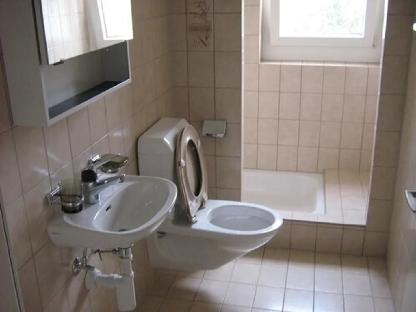 Cozy apartment near the center of Frauenfeld - Photo 7 of 8