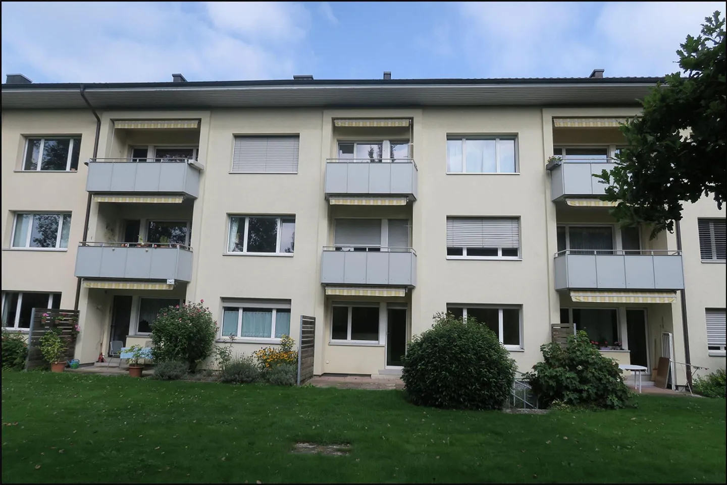 Carino appartamento singolo nel quartiere Fischermätteli - Foto 5 di 5