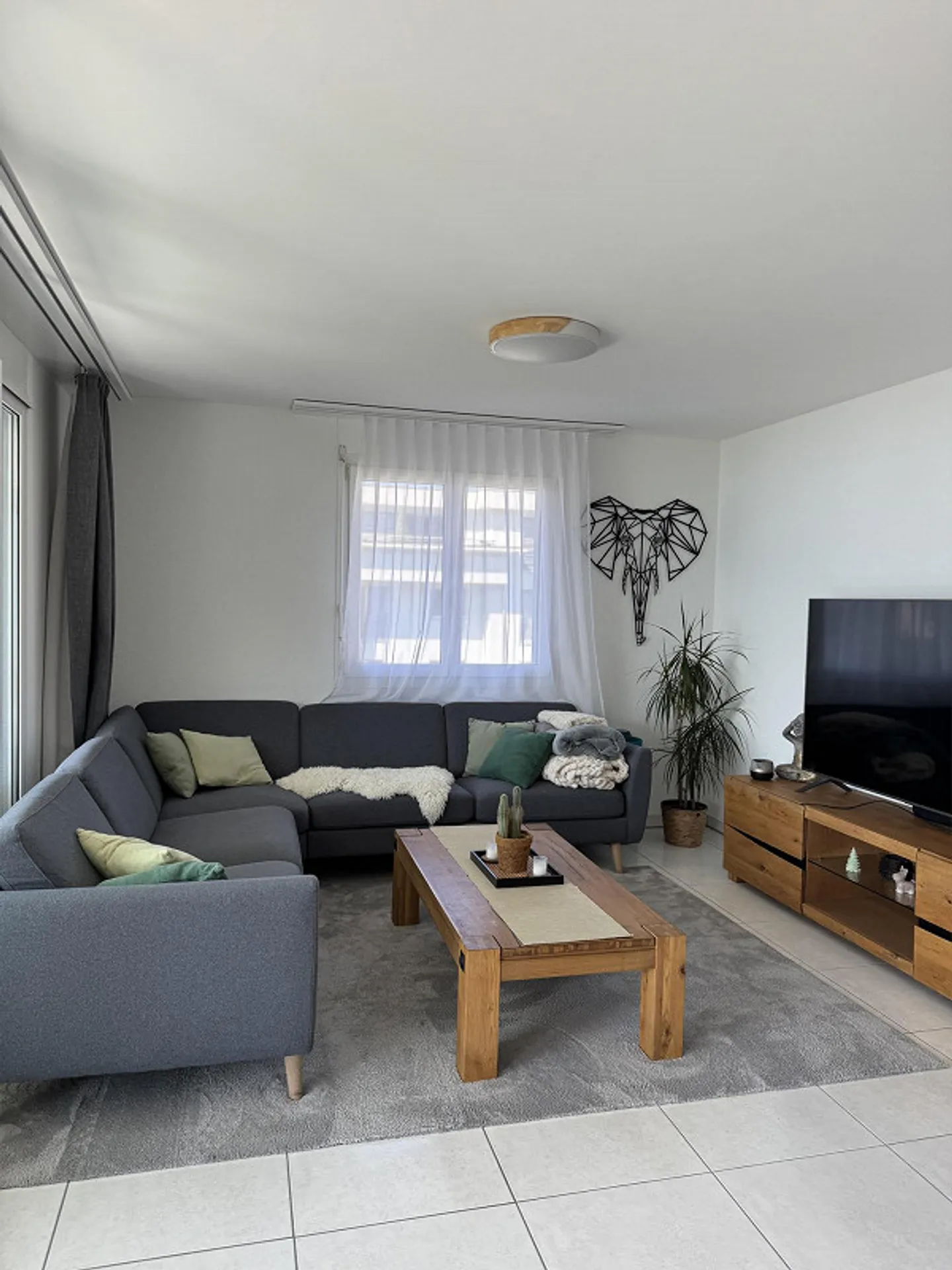 1 room in a 2-person shared apartment - Photo 5 of 9