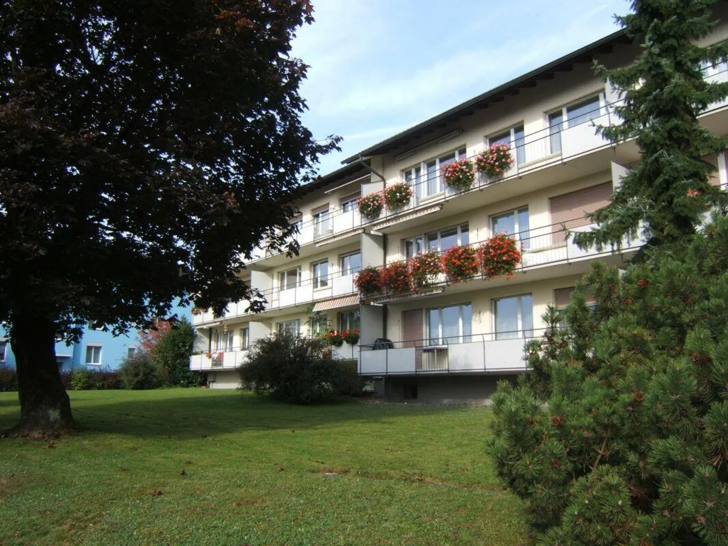 Spacious 3-room apartment in the green - Photo 1 of 6