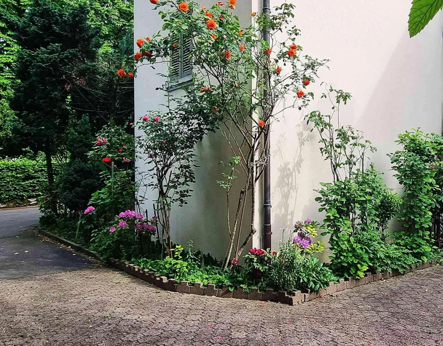 Appartement sous les combles de 2½ pièces au calme avec salle à manger séparée - Photo 10 sur 10