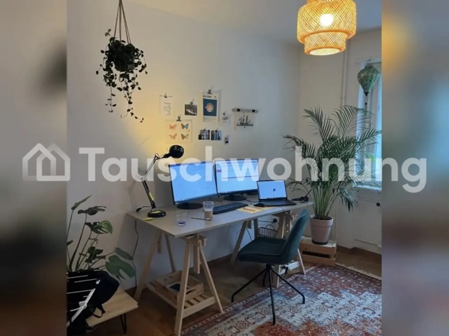 3.5 Z Apartment Wiedikon/Binz - Photo 5 of 8