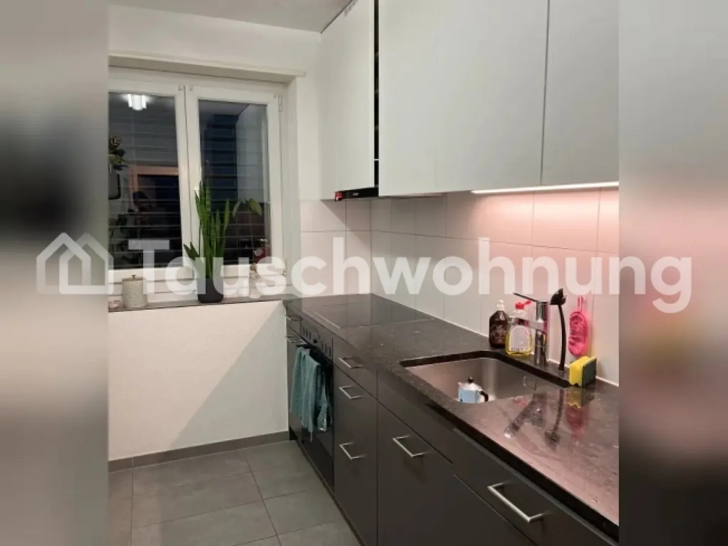 3.5 Z Apartment Wiedikon/Binz - Photo 6 of 8