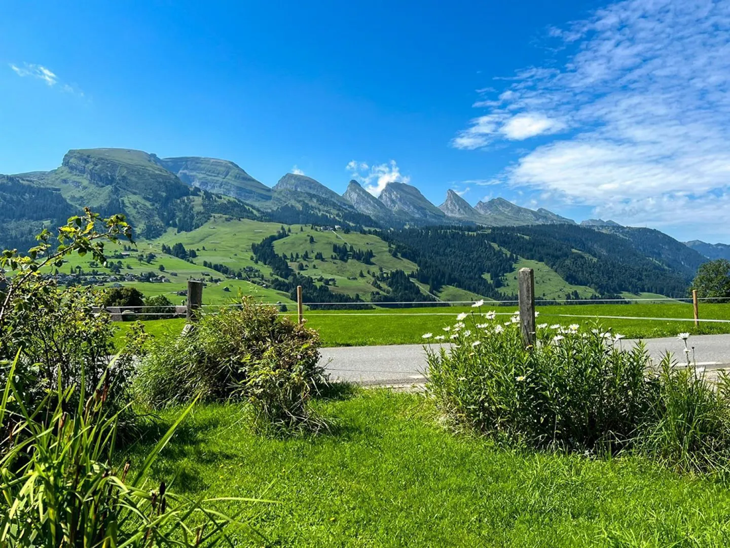 Sogno di Famiglia nel Verde - Foto 2 di 7
