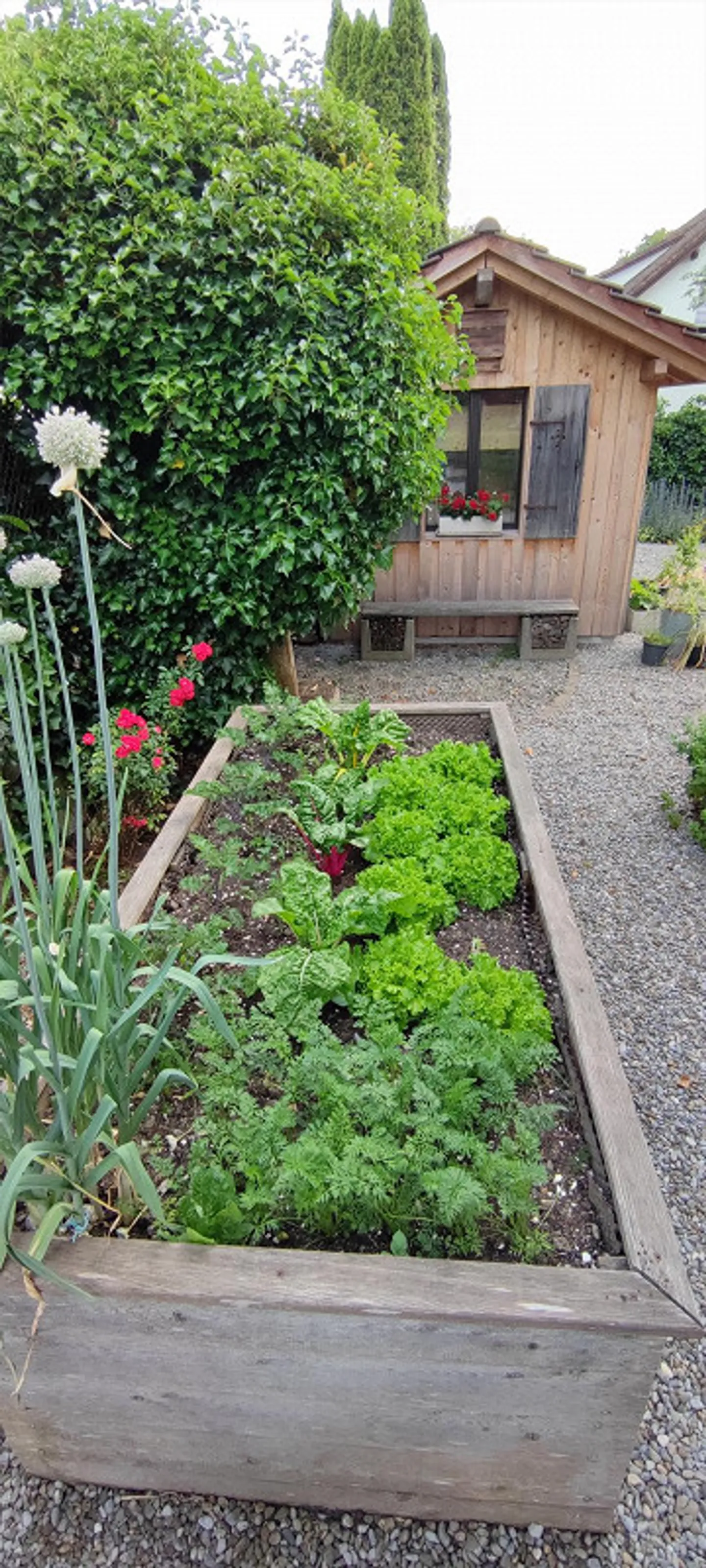 Wooden House with Character - with its own Garden Paradise - Photo 8 of 9