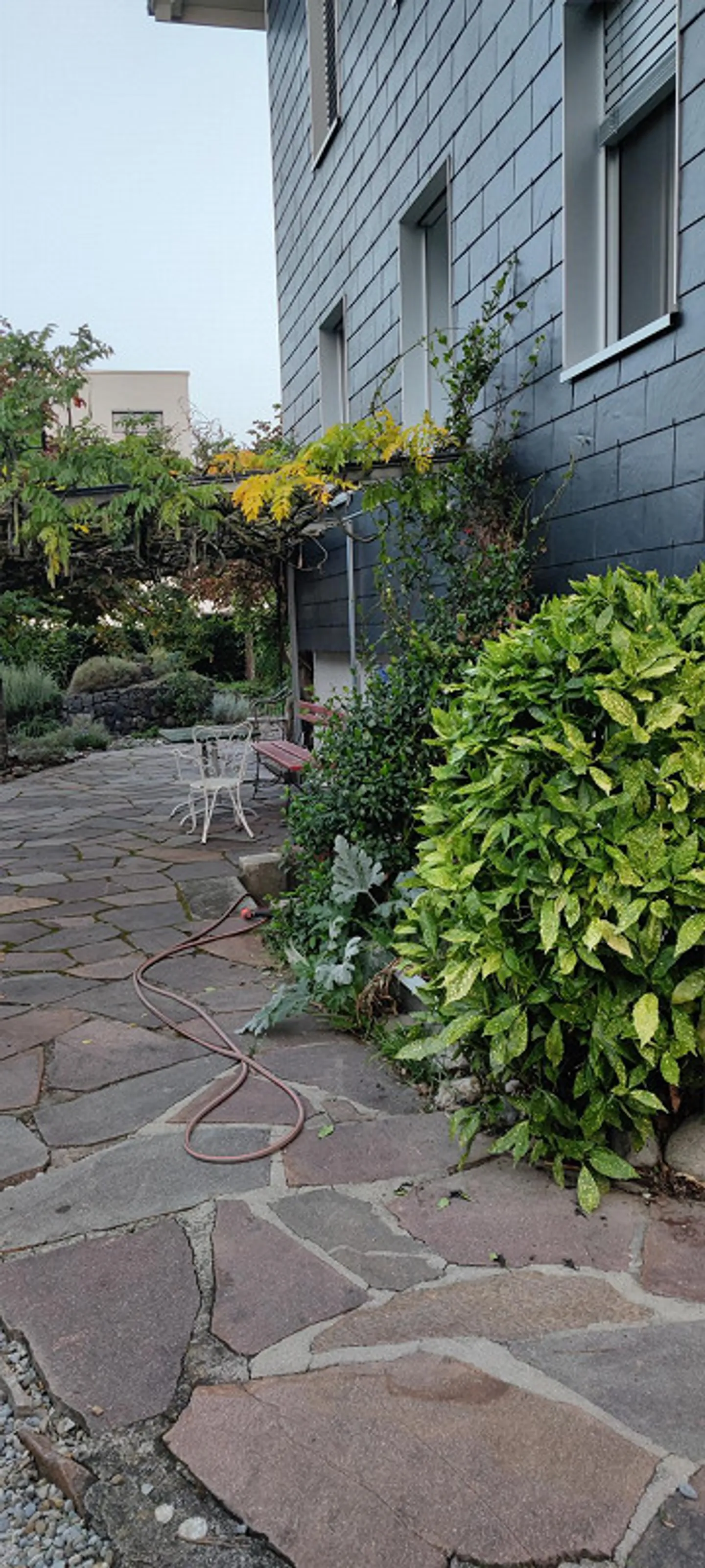 Wooden House with Character - with its own Garden Paradise - Photo 9 of 9