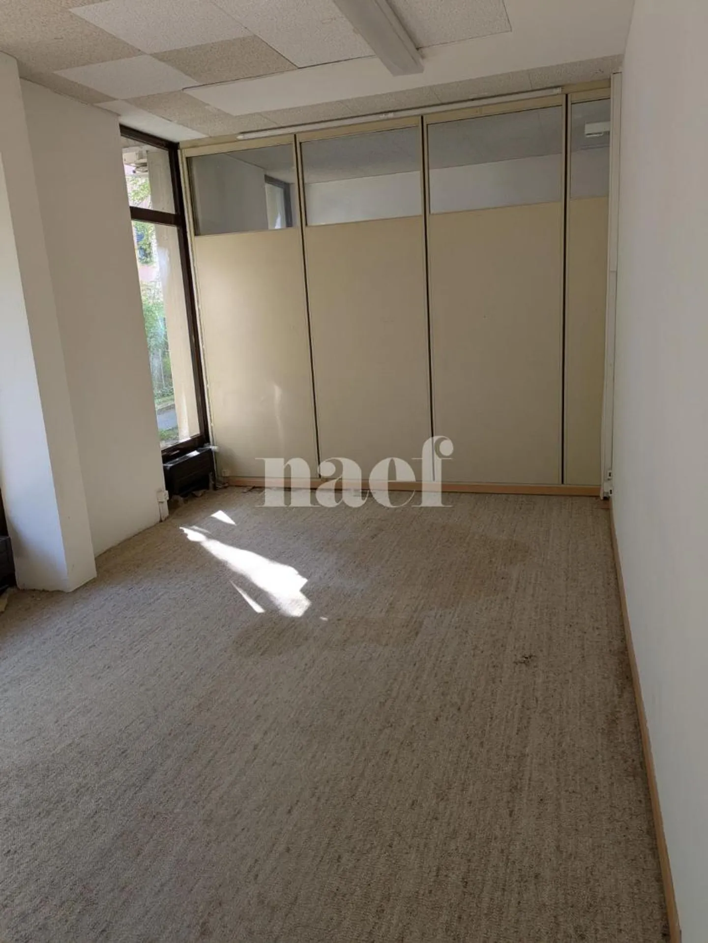 Espace Commercial Lumineux - Photo 5 sur 13