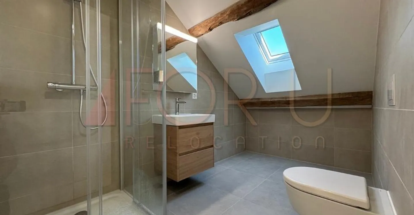 Old farmhouse transformed into a triplex of 6.5 rooms in Avusy - Photo 5 of 11