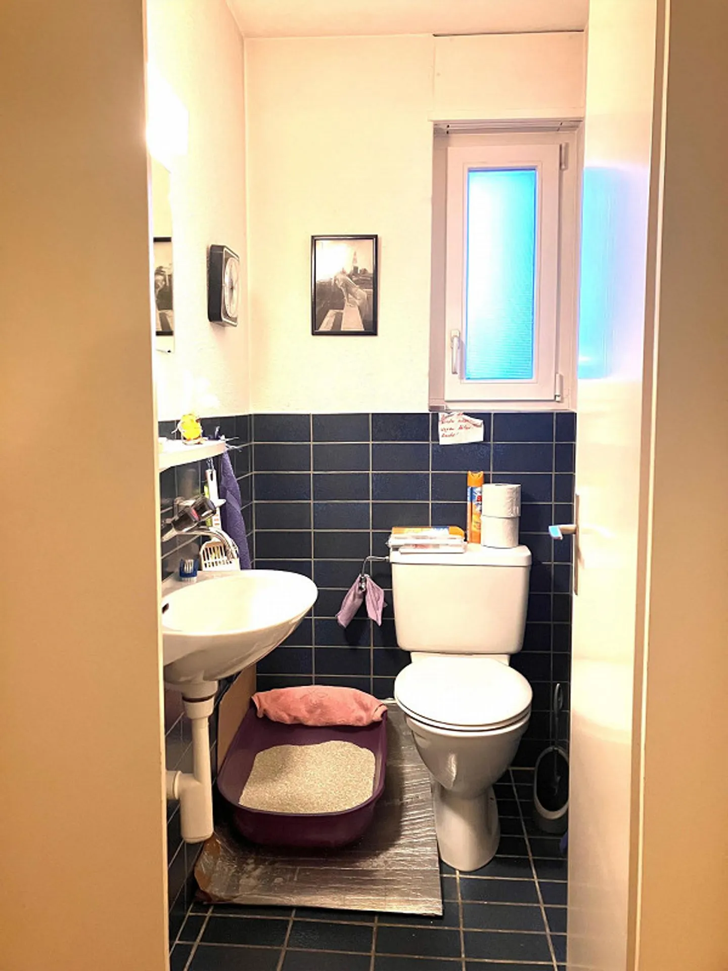 Appartamento giardino ad Andelfingen: appartamento di 2,5 locali ben tenuto con ascensore - Foto 9 di 10